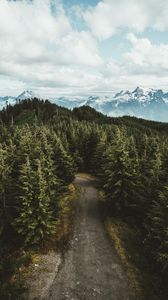 Preview wallpaper mountains, trees, road, aerial view, landscape, sky, darrington, united states