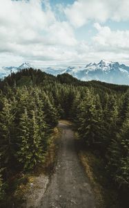 Preview wallpaper mountains, trees, road, aerial view, landscape, sky, darrington, united states