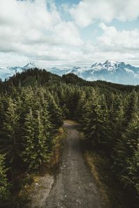 Preview wallpaper mountains, trees, road, aerial view, landscape, sky, darrington, united states