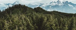 Preview wallpaper mountains, trees, road, aerial view, landscape, sky, darrington, united states