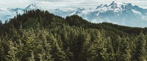 Preview wallpaper mountains, trees, road, aerial view, landscape, sky, darrington, united states