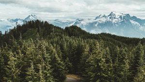 Preview wallpaper mountains, trees, road, aerial view, landscape, sky, darrington, united states