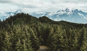 Preview wallpaper mountains, trees, road, aerial view, landscape, sky, darrington, united states