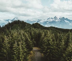 Preview wallpaper mountains, trees, road, aerial view, landscape, sky, darrington, united states