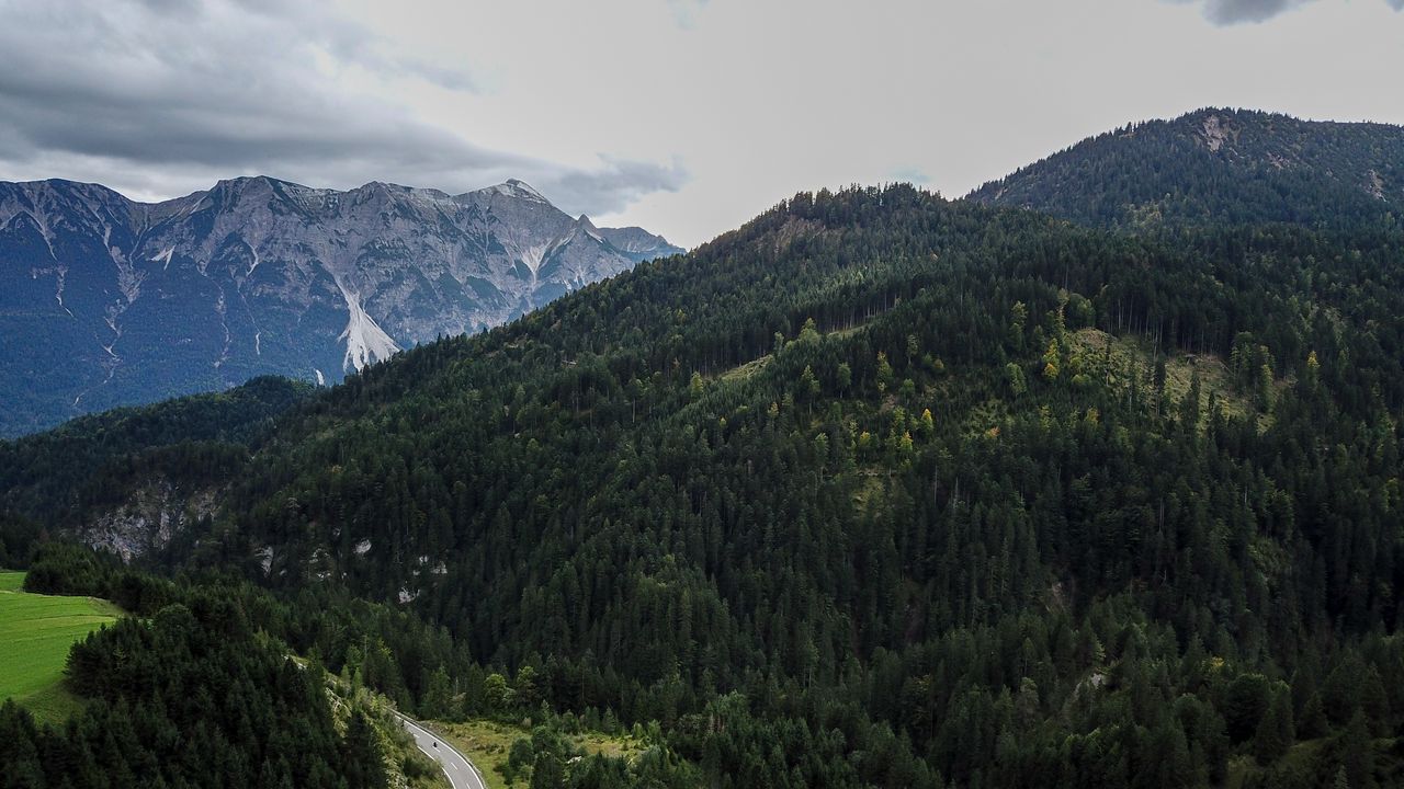 Wallpaper mountains, trees, road, aerial view, landscape