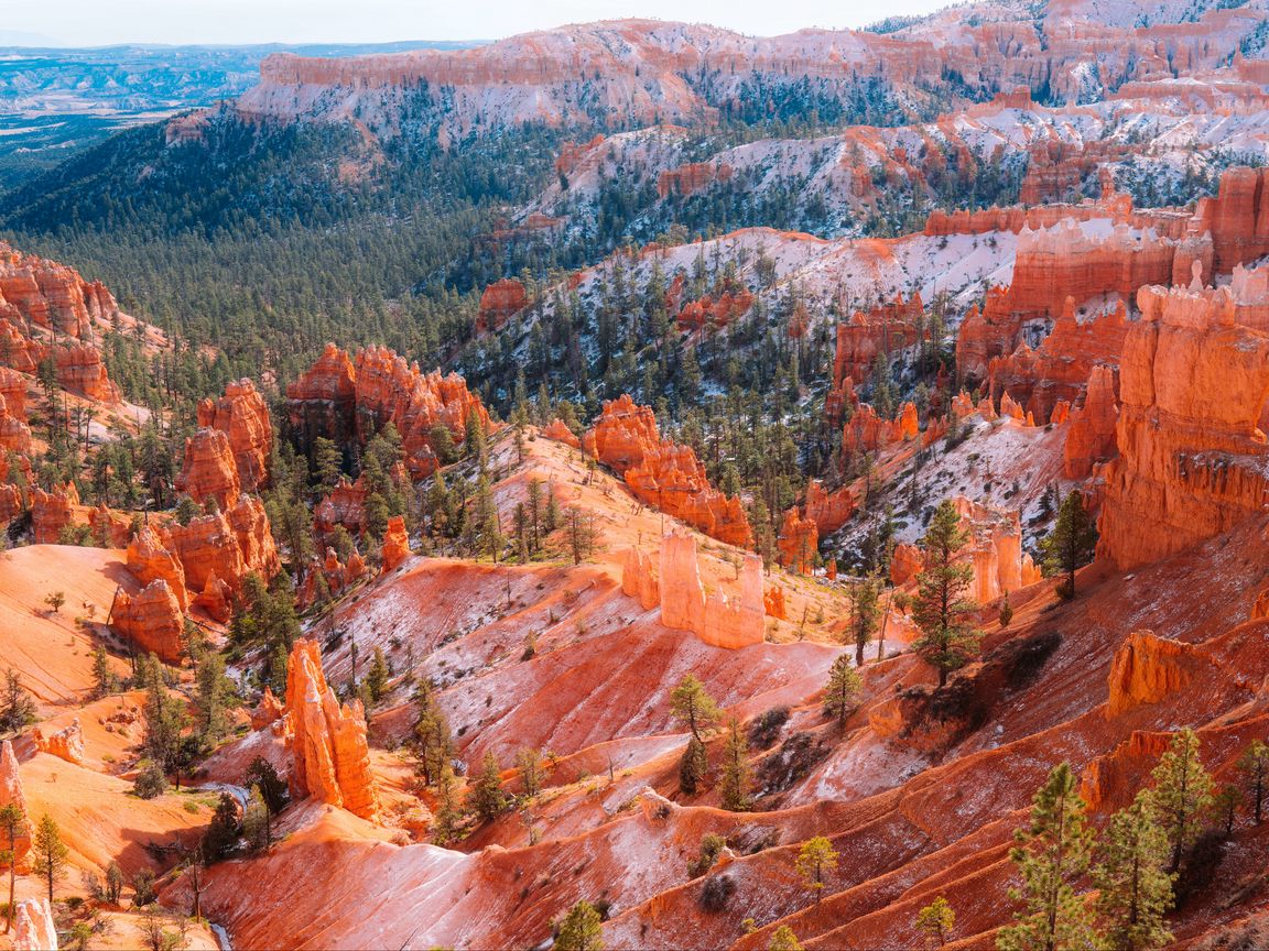 1152x864 Wallpaper mountains, trees, rocks, forest