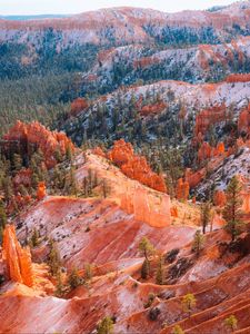 Preview wallpaper mountains, trees, rocks, forest