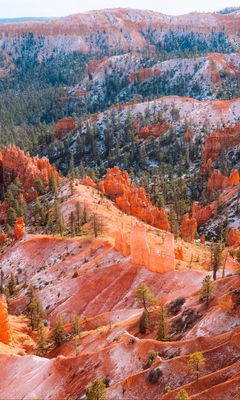 240x400 Wallpaper mountains, trees, rocks, forest
