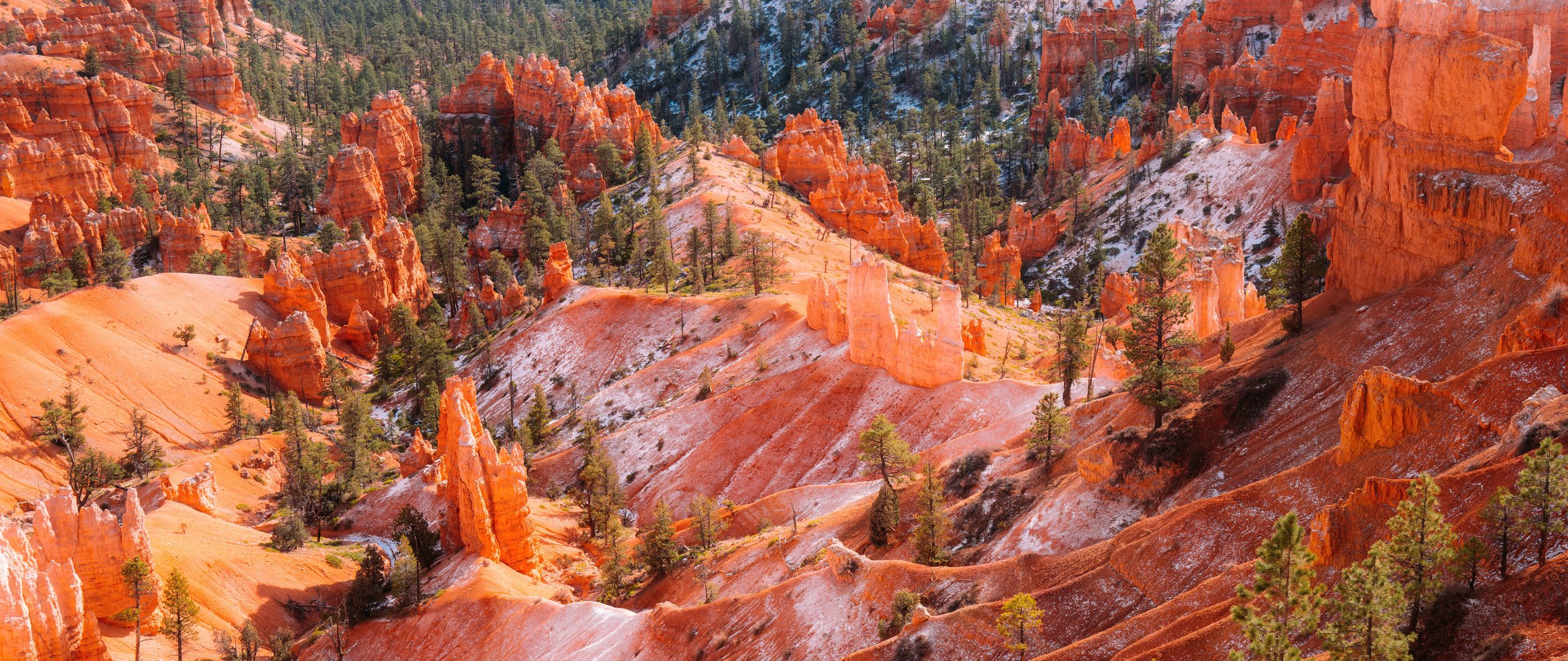 2560x1080 Wallpaper mountains, trees, rocks, forest