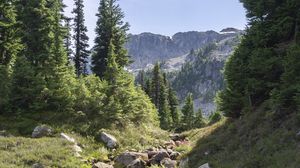 Preview wallpaper mountains, trees, rocks, grass, nature