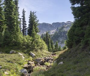 Preview wallpaper mountains, trees, rocks, grass, nature