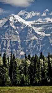 Preview wallpaper mountains, trees, sky, grass, tops