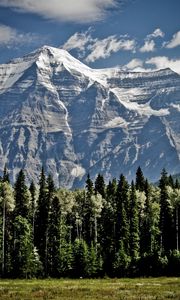 Preview wallpaper mountains, trees, sky, grass, tops