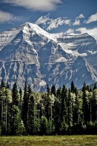 Preview wallpaper mountains, trees, sky, grass, tops