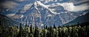 Preview wallpaper mountains, trees, sky, grass, tops