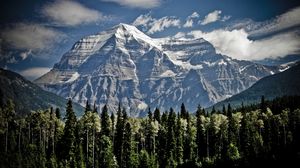 Preview wallpaper mountains, trees, sky, grass, tops