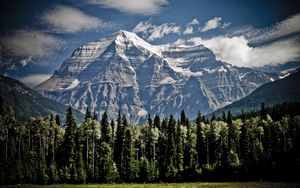 Preview wallpaper mountains, trees, sky, grass, tops