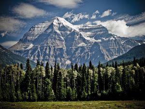 Preview wallpaper mountains, trees, sky, grass, tops