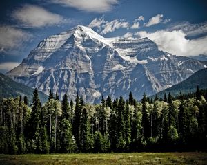 Preview wallpaper mountains, trees, sky, grass, tops