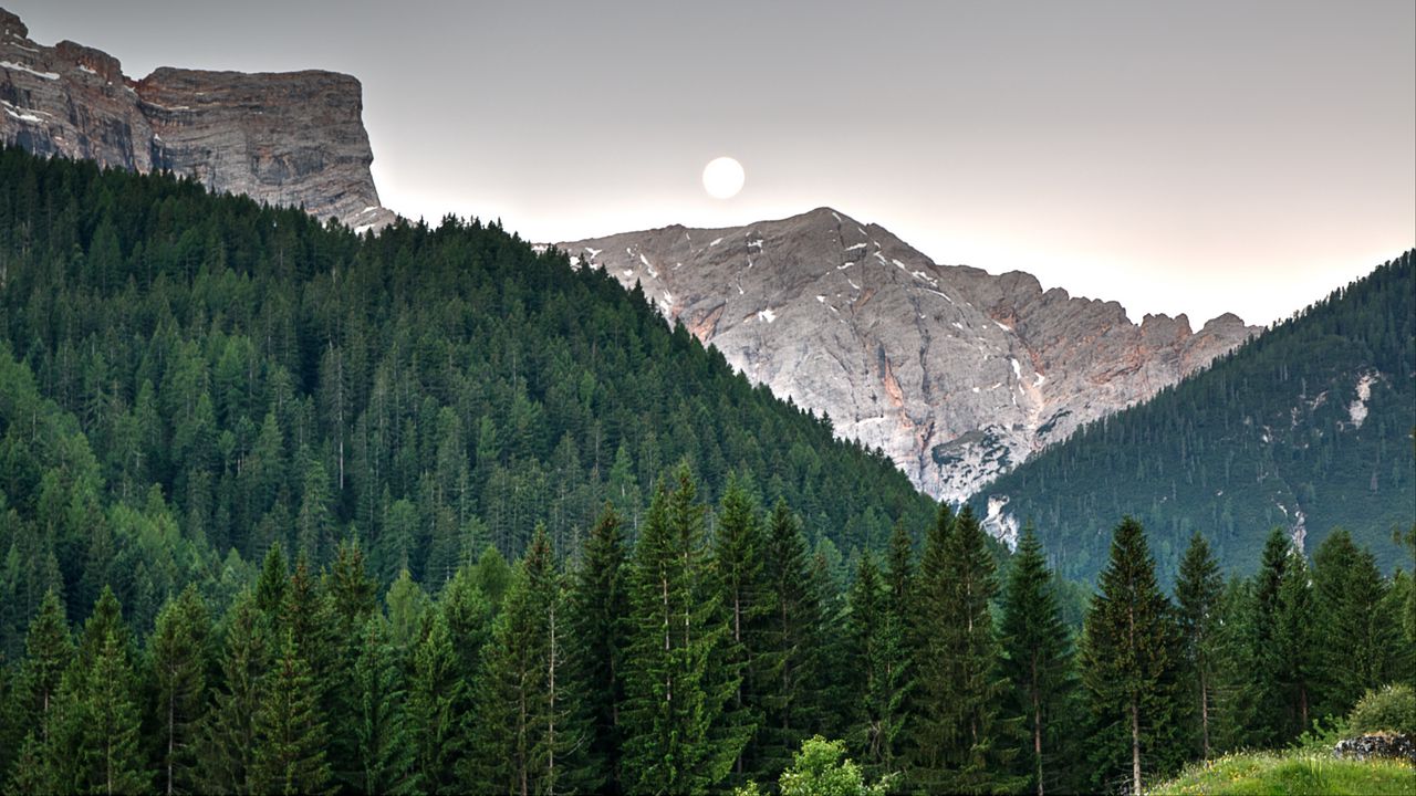 Wallpaper mountains, trees, sky