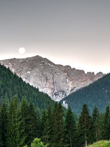 Preview wallpaper mountains, trees, sky