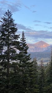 Preview wallpaper mountains, trees, sky, landscape, branches