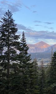 Preview wallpaper mountains, trees, sky, landscape, branches