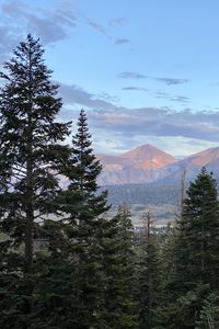 Preview wallpaper mountains, trees, sky, landscape, branches