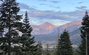 Preview wallpaper mountains, trees, sky, landscape, branches