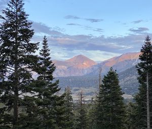 Preview wallpaper mountains, trees, sky, landscape, branches