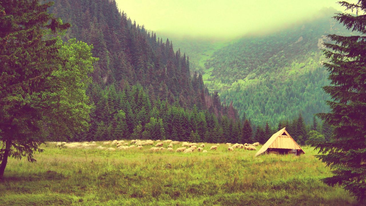 Wallpaper mountains, trees, sky, summer