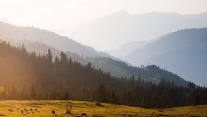 Preview wallpaper mountains, trees, sky, mist