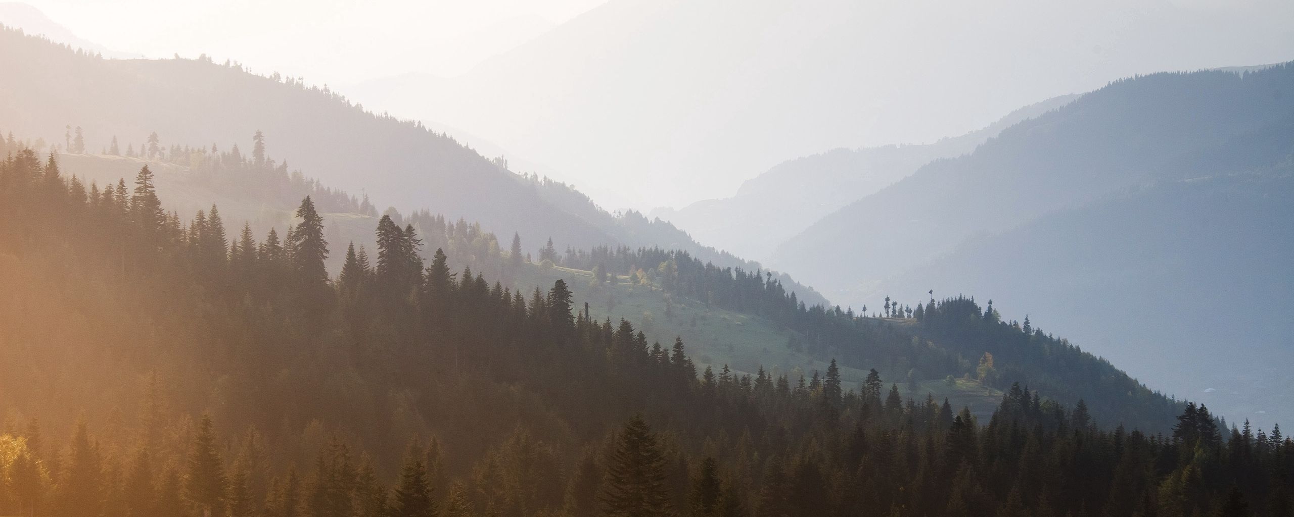 Download wallpaper 2560x1024 mountains, trees, sky, mist ultrawide