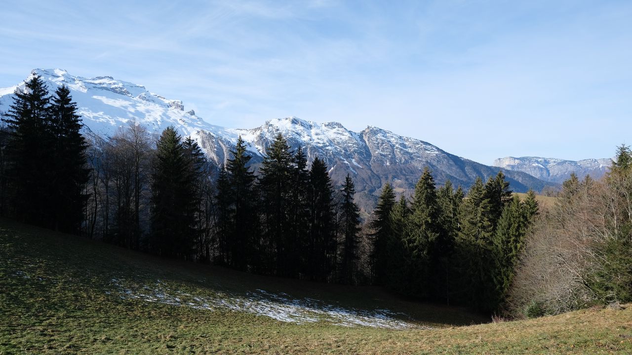 Wallpaper mountains, trees, slope, grass, landscape