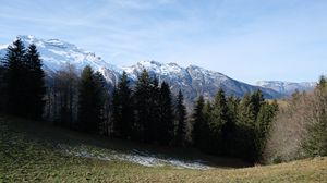 Preview wallpaper mountains, trees, slope, grass, landscape