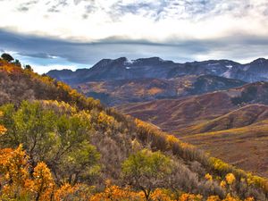 Preview wallpaper mountains, trees, slope, relief