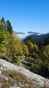 Preview wallpaper mountains, trees, slope, landscape, nature