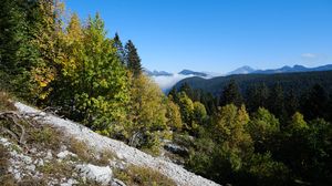 Preview wallpaper mountains, trees, slope, landscape, nature