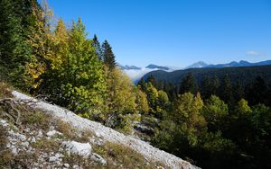 Preview wallpaper mountains, trees, slope, landscape, nature