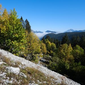 Preview wallpaper mountains, trees, slope, landscape, nature