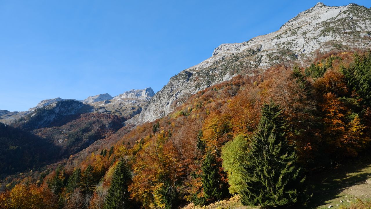 Wallpaper mountains, trees, slope, autumn, landscape