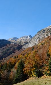 Preview wallpaper mountains, trees, slope, autumn, landscape