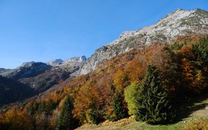 Preview wallpaper mountains, trees, slope, autumn, landscape