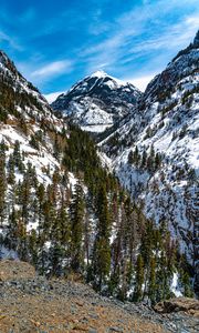 Preview wallpaper mountains, trees, slope, snow, view