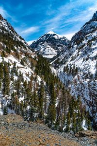 Preview wallpaper mountains, trees, slope, snow, view