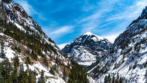 Preview wallpaper mountains, trees, slope, snow, view