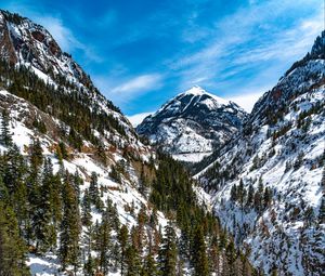 Preview wallpaper mountains, trees, slope, snow, view