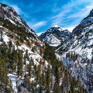 Preview wallpaper mountains, trees, slope, snow, view