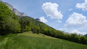 Preview wallpaper mountains, trees, slope, grass, nature