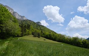 Preview wallpaper mountains, trees, slope, grass, nature
